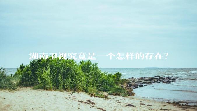 湖南卫视究竟是一个怎样的存在？