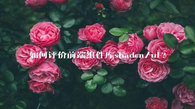 如何评价前端组件库shadcn/ui?