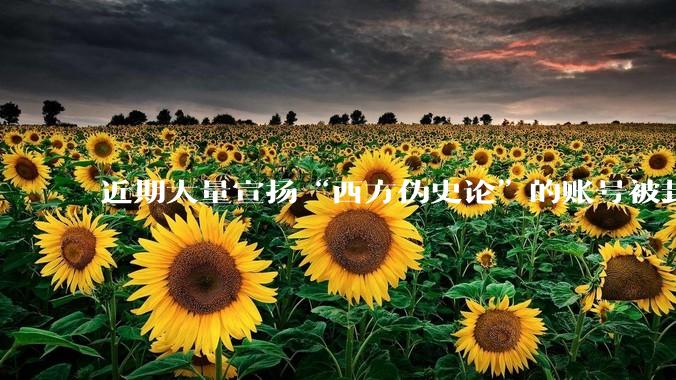 近期大量宣扬“西方伪史论”的账号被封，这意味着什么？