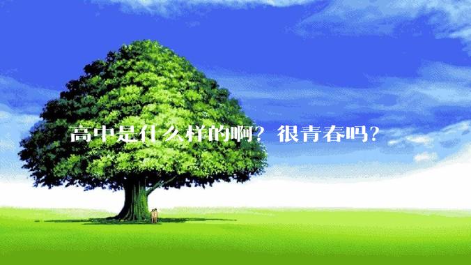 高中是什么样的啊？很青春吗？