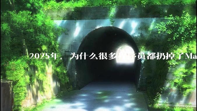 2025年，为什么很多程序员都扔掉了Mac和Linux，开始拥抱Win11了？