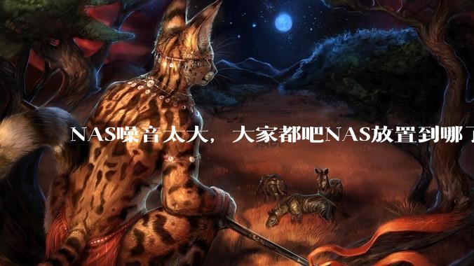 NAS噪音太大，大家都吧NAS放置到哪了？