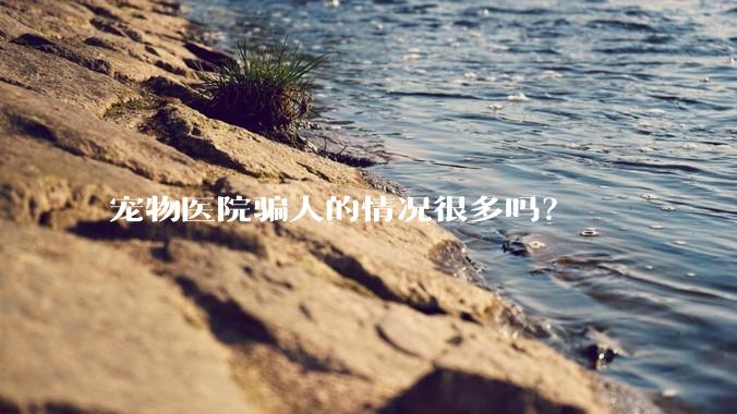 宠物医院骗人的情况很多吗？