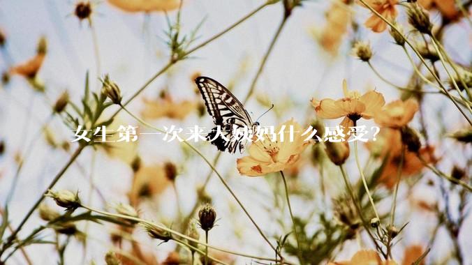 女生第一次来大姨妈什么感受？