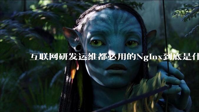 互联网研发运维都必用的Nginx到底是什么呢？