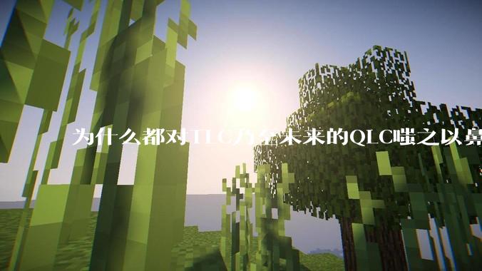为什么都对TLC乃至未来的QLC嗤之以鼻呢?