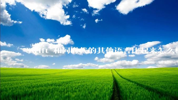 Swift 和同时代的其他语言比起来怎么样？