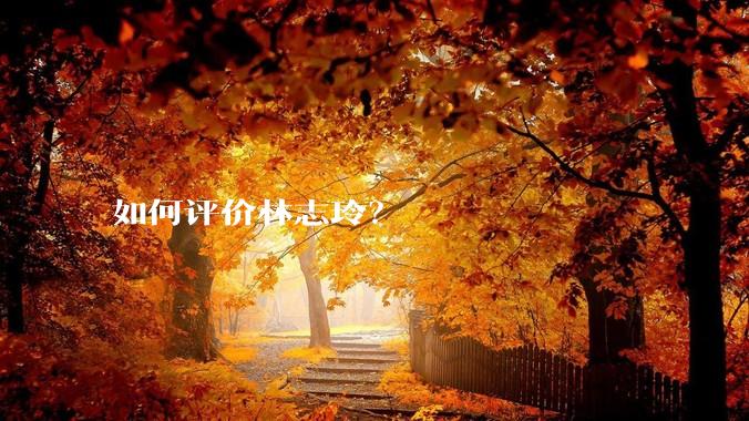 如何评价林志玲？
