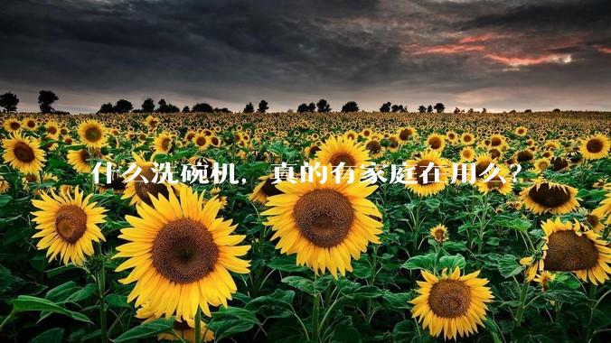 什么洗碗机，真的有家庭在用么？