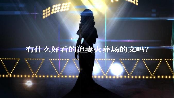 有什么好看的追妻火葬场的文吗？