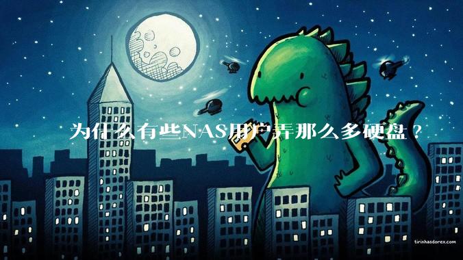 为什么有些NAS用户弄那么多硬盘?